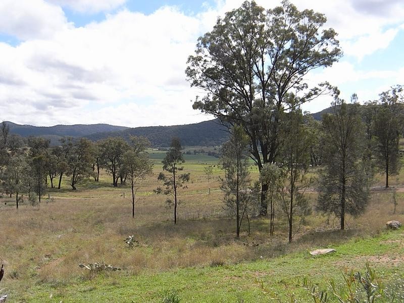 Lot 101,  Yarraman Road, Wybong NSW 2333