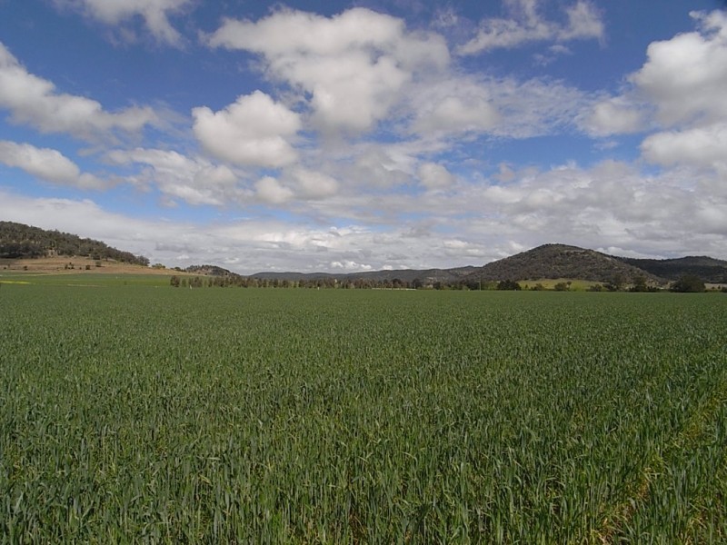 Lot 102,  Yarraman Road, Wybong NSW 2333