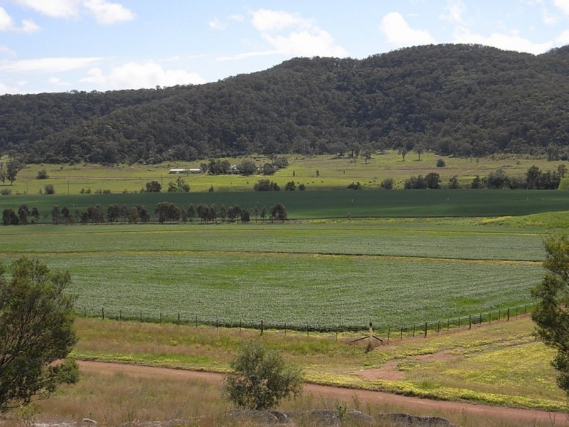 Lot 102,  Yarraman Road, Wybong NSW 2333