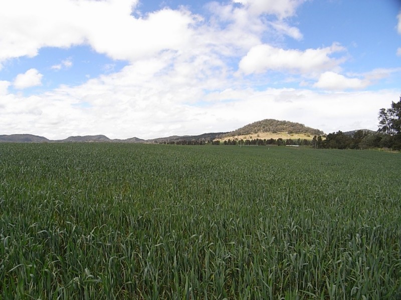 Lot 102,  Yarraman Road, Wybong NSW 2333