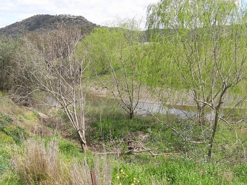 Lot 102,  Yarraman Road, Wybong NSW 2333