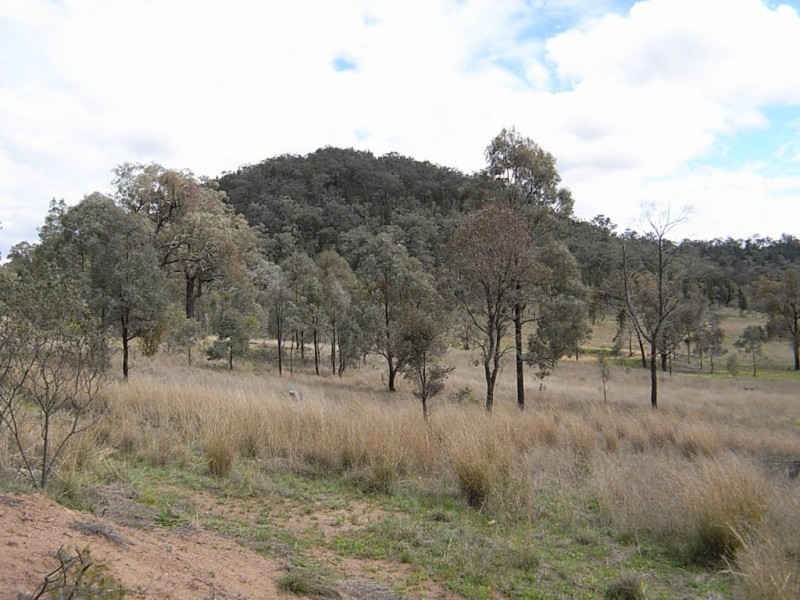 Lot 102,  Yarraman Road, Wybong NSW 2333