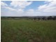103 Allan Cunningham Road, Scone NSW 2337