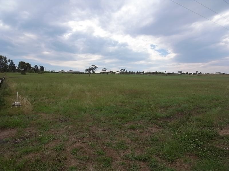 103 Allan Cunningham Road, Scone NSW 2337
