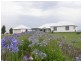 Denman NSW 2328