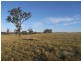 Lot 600 Ironbark Ridge Estate, Muswellbrook NSW 2333