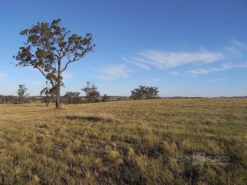 Lot 600 Ironbark Ridge Estate, Muswellbrook NSW 2333