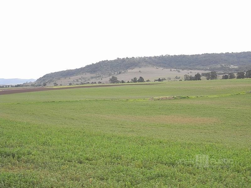 1700 Bureen Road, Denman NSW 2328