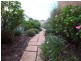 109 Graeme Street, Aberdeen NSW 2336