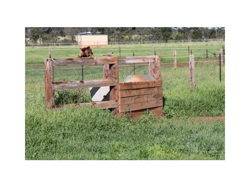 433 Dalswinton Road, Denman NSW 2328