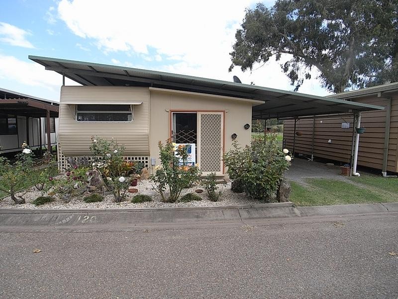 Site 120 Pinaroo Caravan Park, Muswellbrook NSW 2333