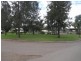 Site 120 Pinaroo Caravan Park, Muswellbrook NSW 2333