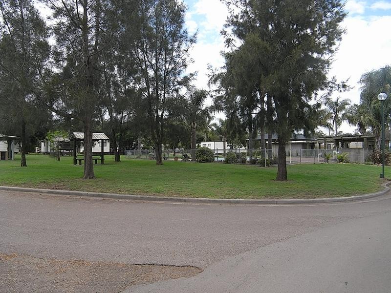 Site 120 Pinaroo Caravan Park, Muswellbrook NSW 2333