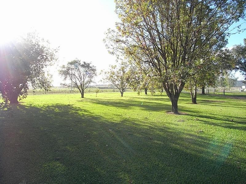 1828 Denman Road, Muswellbrook NSW 2333