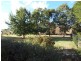1280 Sandy Creek Road, Mccullys Gap NSW 2333