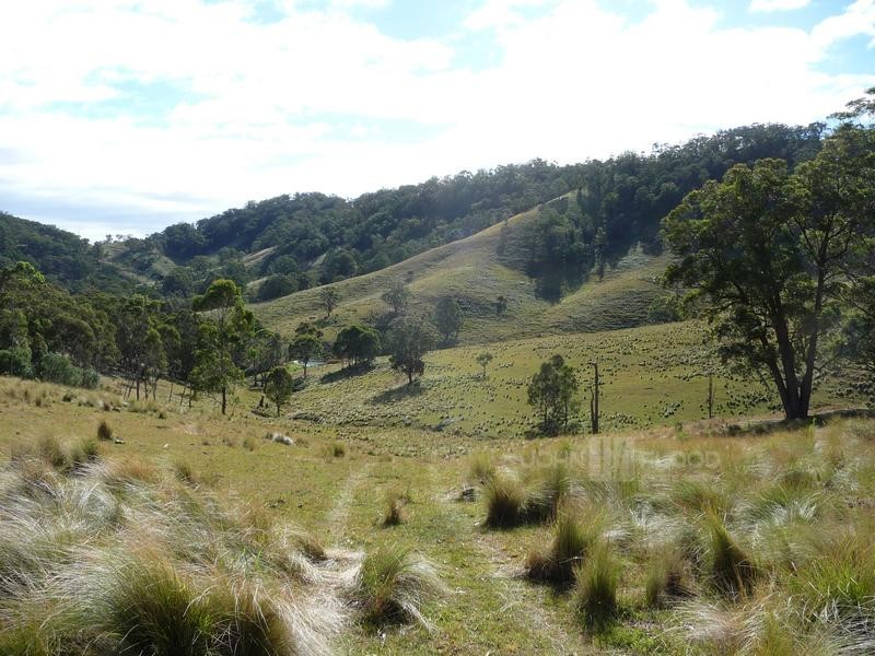 McCullys Gap Road, Muswellbrook NSW 2333