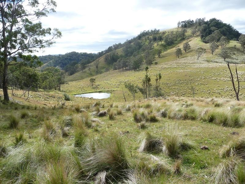 McCullys Gap Road, Muswellbrook NSW 2333