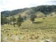 McCullys Gap Road, Muswellbrook NSW 2333