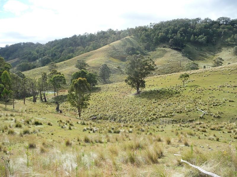 McCullys Gap Road, Muswellbrook NSW 2333
