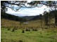 McCullys Gap Road, Muswellbrook NSW 2333