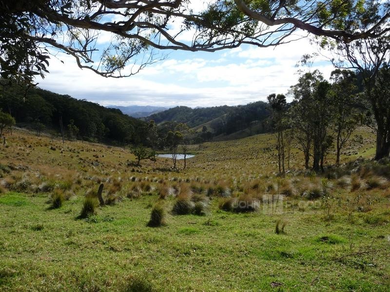McCullys Gap Road, Muswellbrook NSW 2333