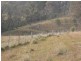 McCullys Gap Road, Muswellbrook NSW 2333