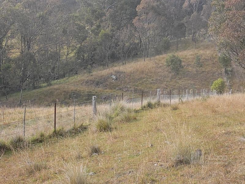 McCullys Gap Road, Muswellbrook NSW 2333