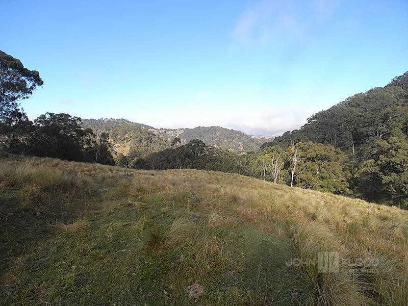 McCullys Gap Road, Muswellbrook NSW 2333