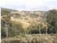 McCullys Gap Road, Muswellbrook NSW 2333