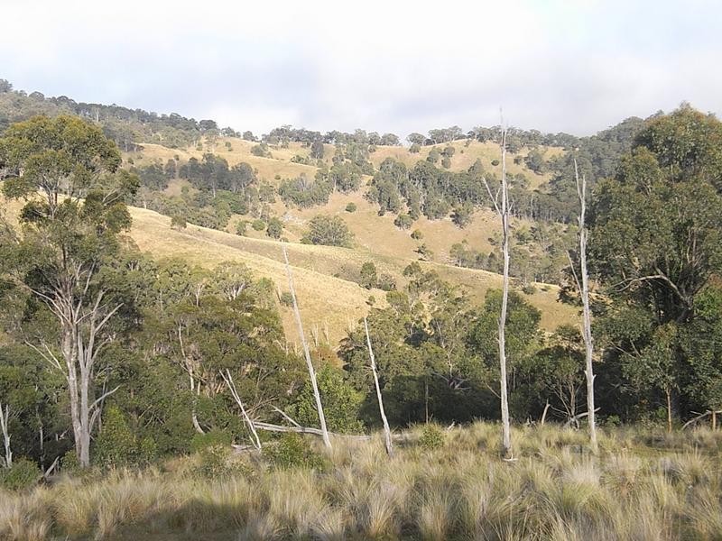 McCullys Gap Road, Muswellbrook NSW 2333