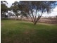 63 St Andrews Street, Aberdeen NSW 2336