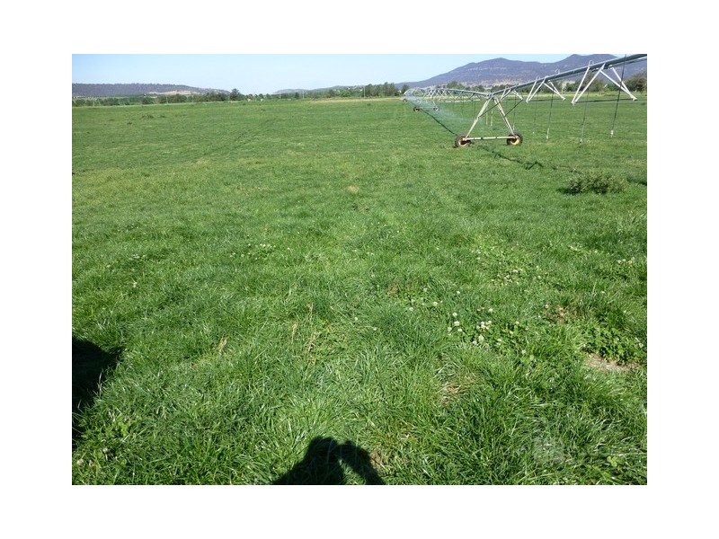 43-45 Bureen Road, Denman NSW 2328