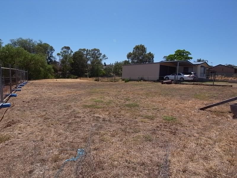 66 St Andrews Street, Aberdeen NSW 2336