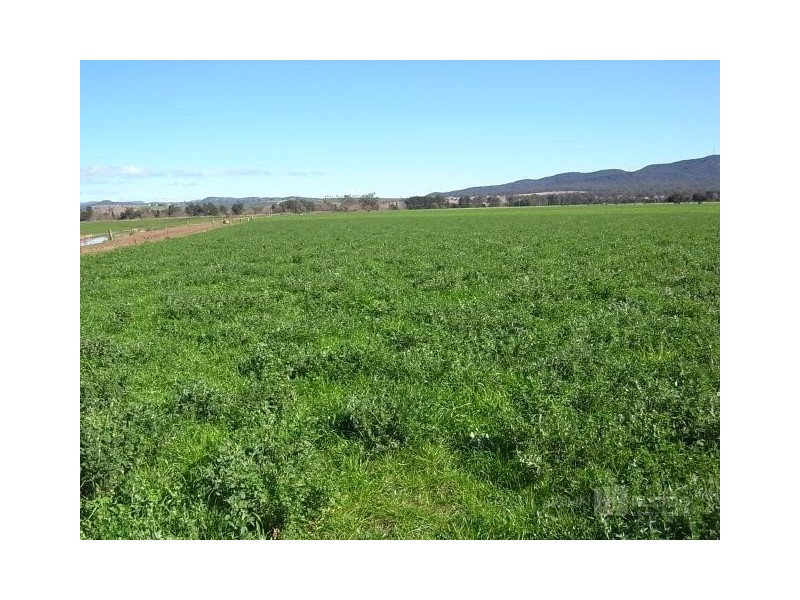 132 Dalswinton Road, Denman NSW 2328