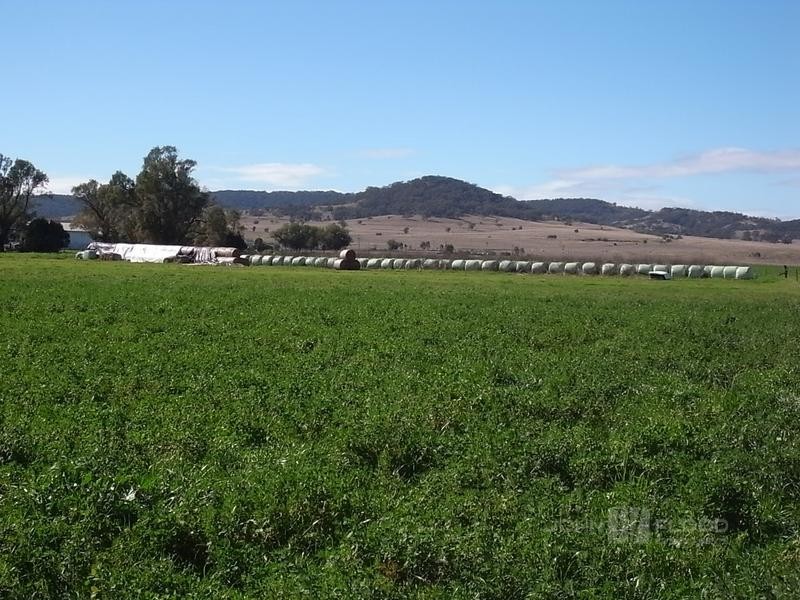 132 Dalswinton Road, Denman NSW 2328