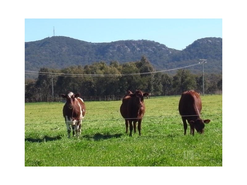 132 Dalswinton Road, Denman NSW 2328