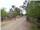 136 Skellatar Stock Route, Muswellbrook NSW 2333