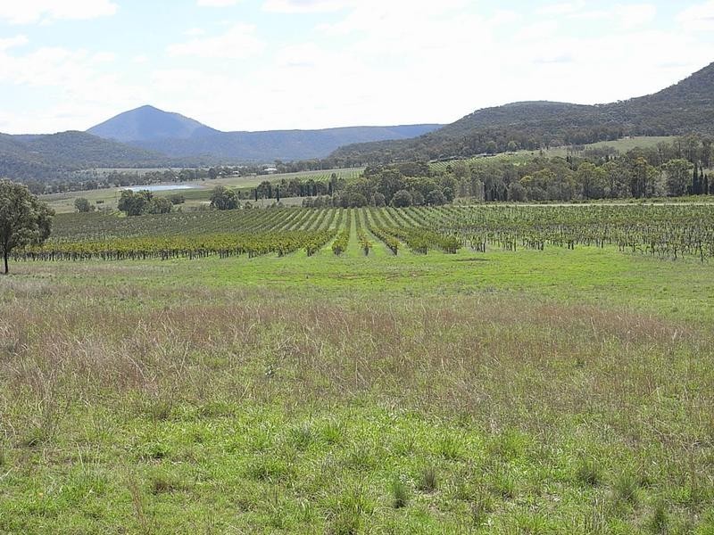 Lot 6,  Mt Dangar, Sandy Hollow NSW 2333