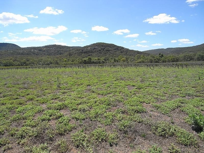 Lot 6,  Mt Dangar, Sandy Hollow NSW 2333