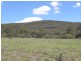 Lot 7,  Mt Dangar, Sandy Hollow NSW 2333