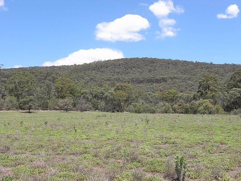 Lot 7,  Mt Dangar, Sandy Hollow NSW 2333