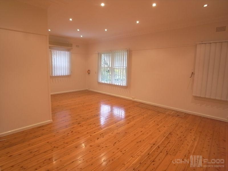 11 Carl Ln, Muswellbrook NSW 2333