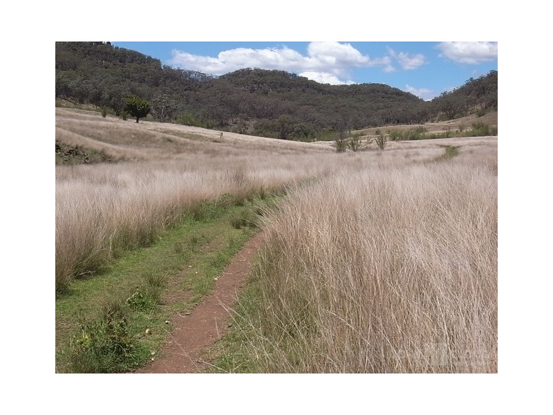 3361 Bylong Valley Way, Kerrabee NSW 2328