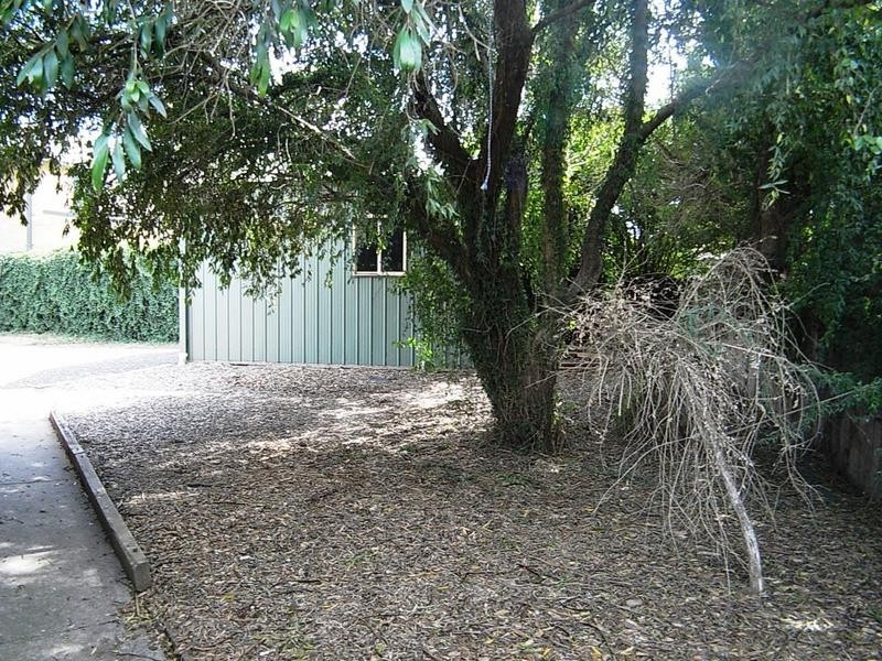 78 Park Street, Scone NSW 2337