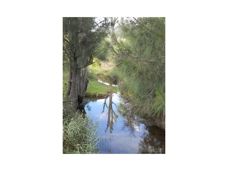 575 Muscle Creek Road, Muswellbrook NSW 2333