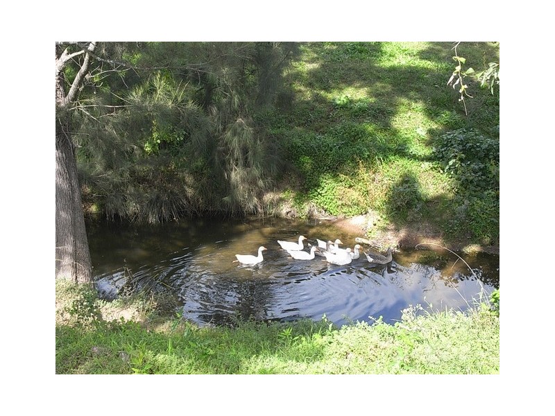 575 Muscle Creek Road, Muswellbrook NSW 2333