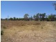 575 Muscle Creek Road, Muswellbrook NSW 2333