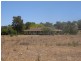 575 Muscle Creek Road, Muswellbrook NSW 2333