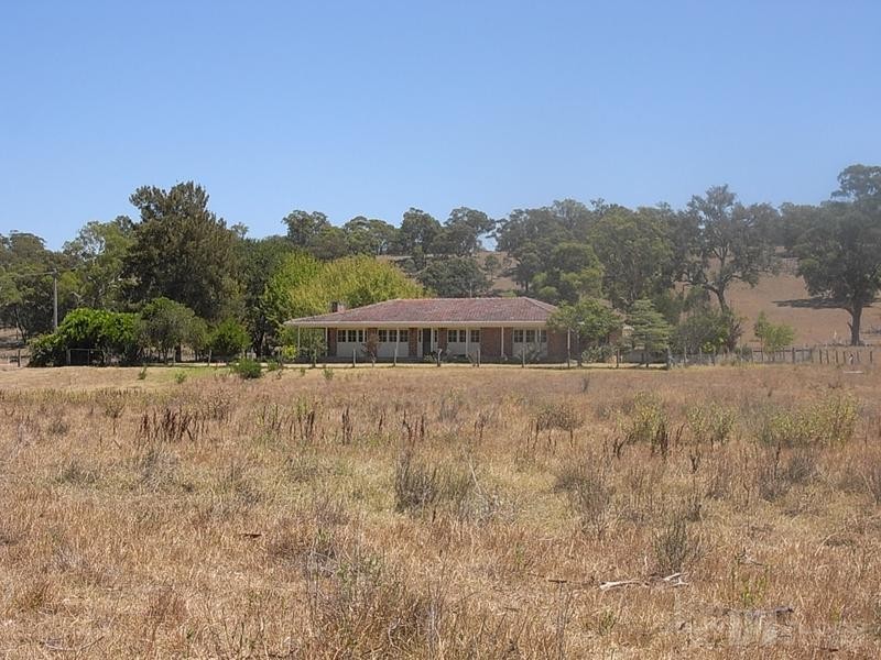 575 Muscle Creek Road, Muswellbrook NSW 2333