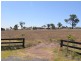 4 Jackaroo Close, Muswellbrook NSW 2333